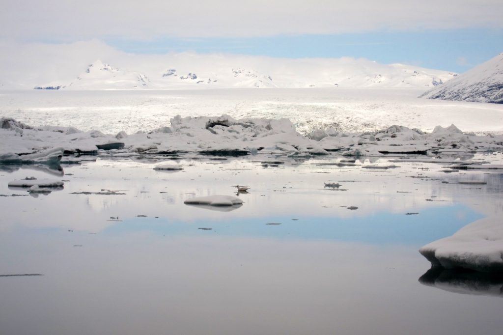 Jokulsarlon het beste van IJsland in een weekend