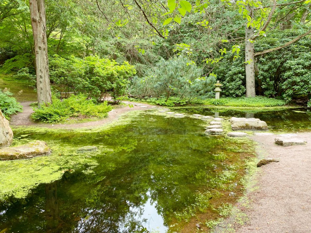 Göteborg Botanical Garden