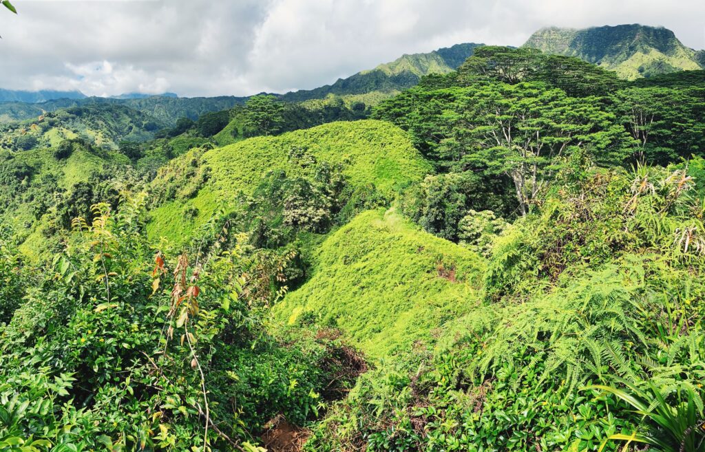 Wat te doen in Kauai Hawaii Kuilau Ridge Trail