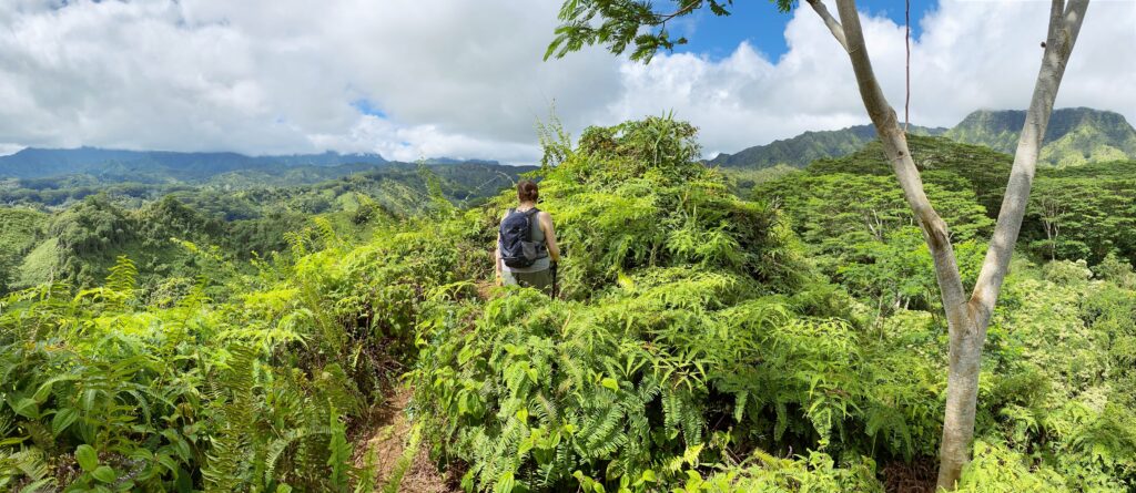 wat te doen in Kauai Kuala Ridge Trail