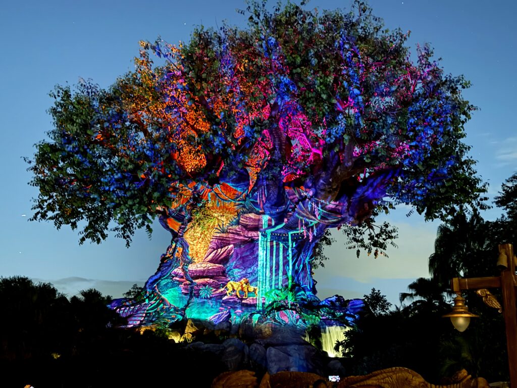 Tree of Life by night Animal Kingdom